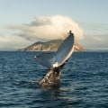 Planning for an Epic Water Adventure in Australia: A Comprehensive Guide