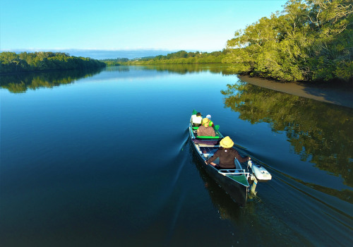 Kayaking in the Amazon River: An Epic Water Adventure in Australia