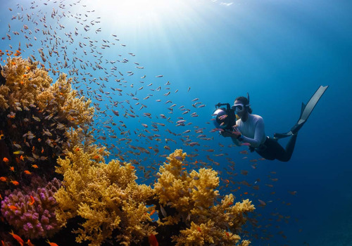 Renting or buying an underwater camera for capturing memories in Australia